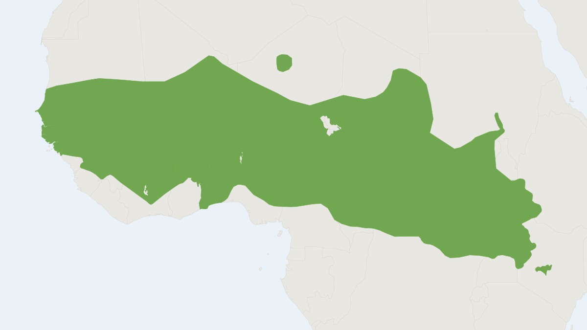 Range map of the Patas Monkey (Erythrocebus patas)