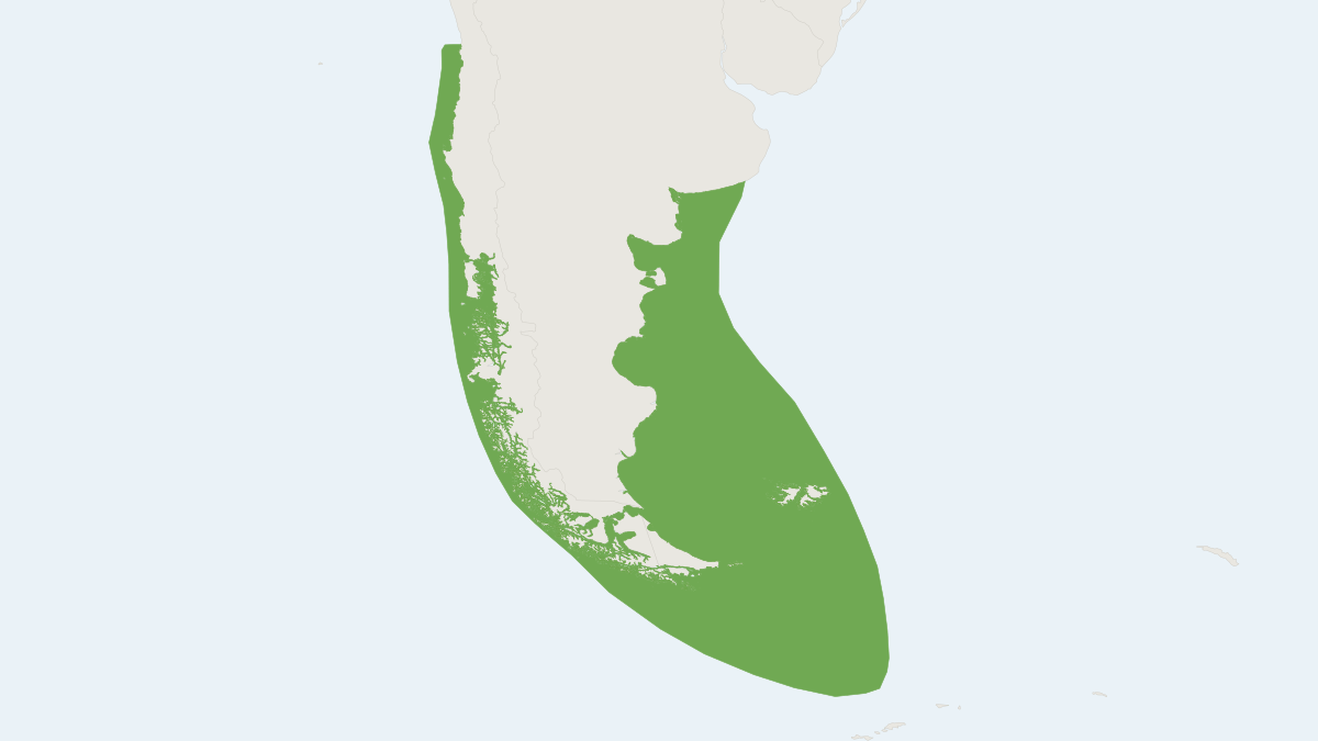 Range map of the Peale's Dolphin (Lagenorhynchus australis)
