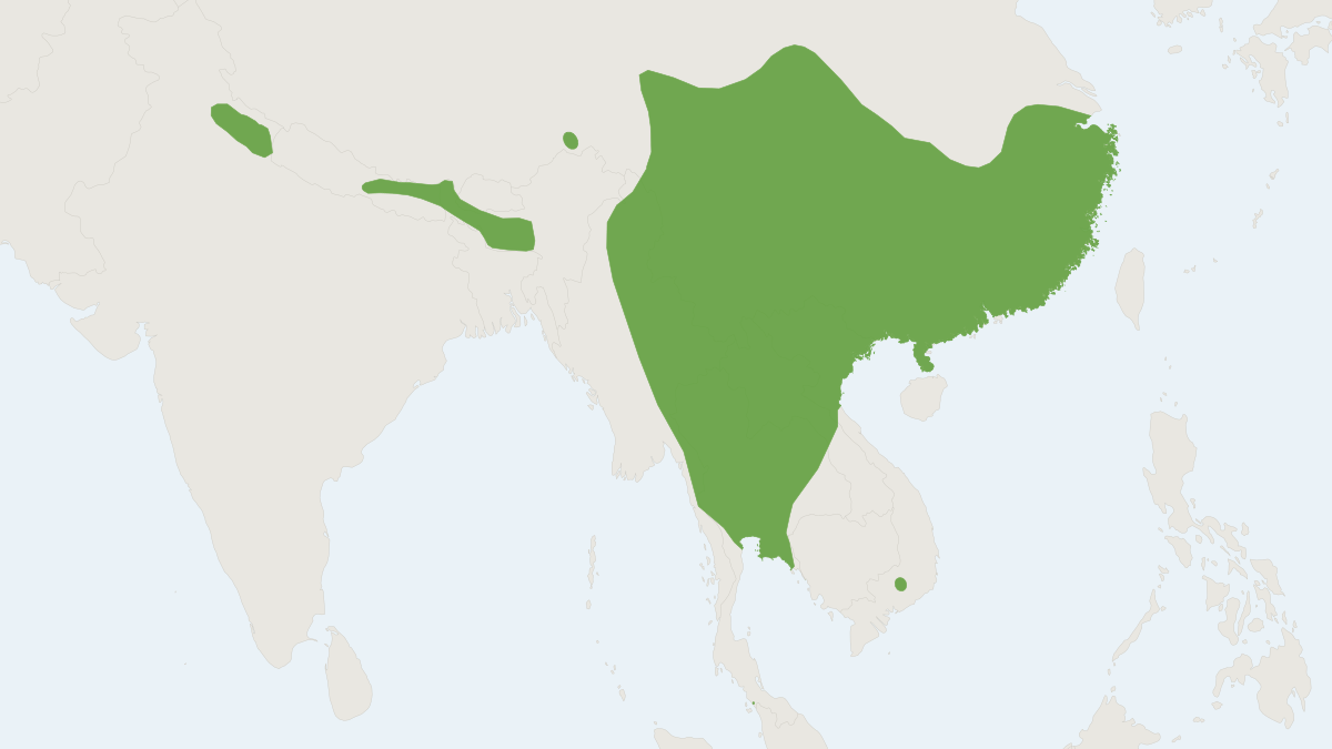 Range map of the Pearson's Horseshoe Bat (Rhinolophus pearsonii)
