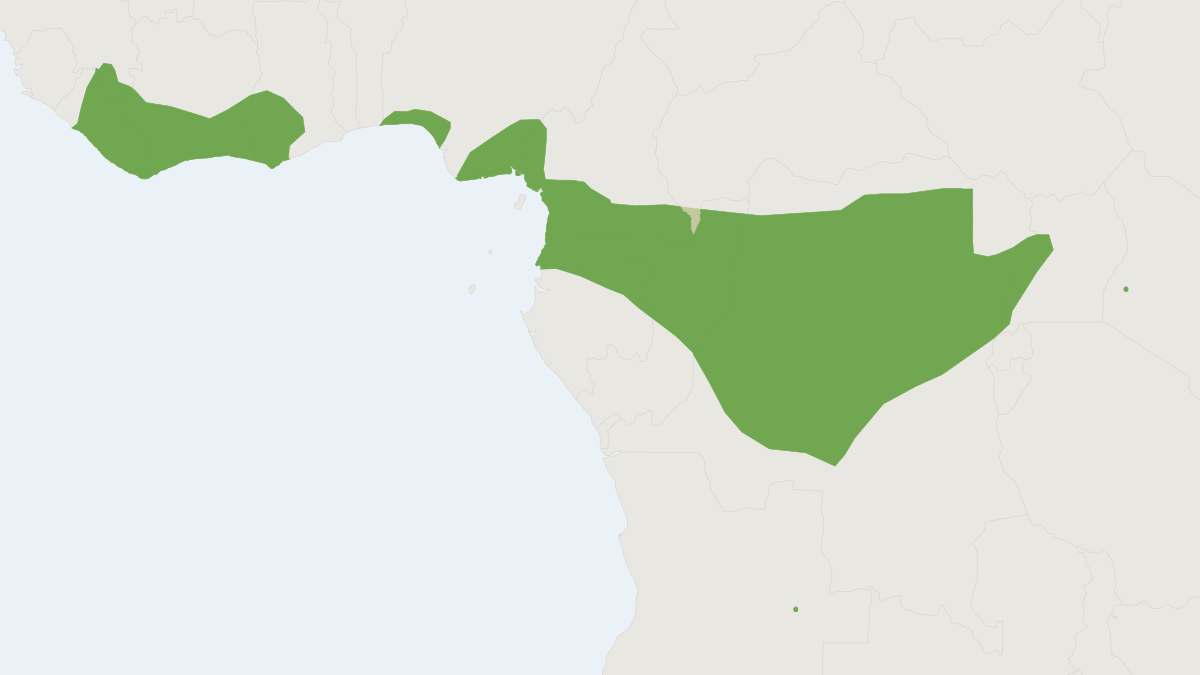 Range map of the Pel's Pouched Bat (Saccolaimus peli)