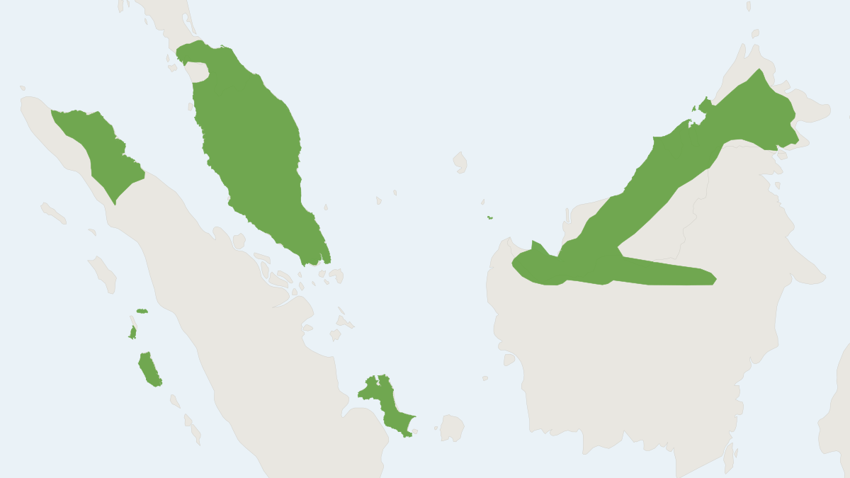 Range map of the Pen-tailed Treeshrew (Ptilocercus lowii)