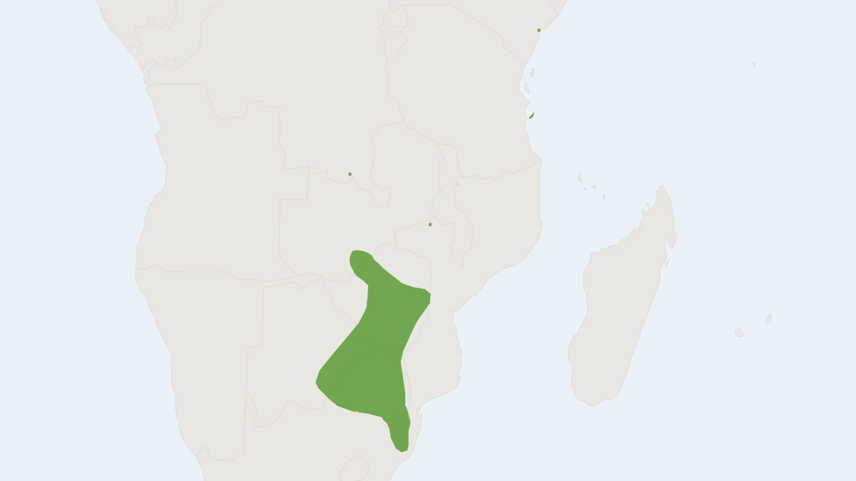 Range map of the Percival's Trident Bat (Cloeotis percivali) covering Kenya, Malawi and Mozambique