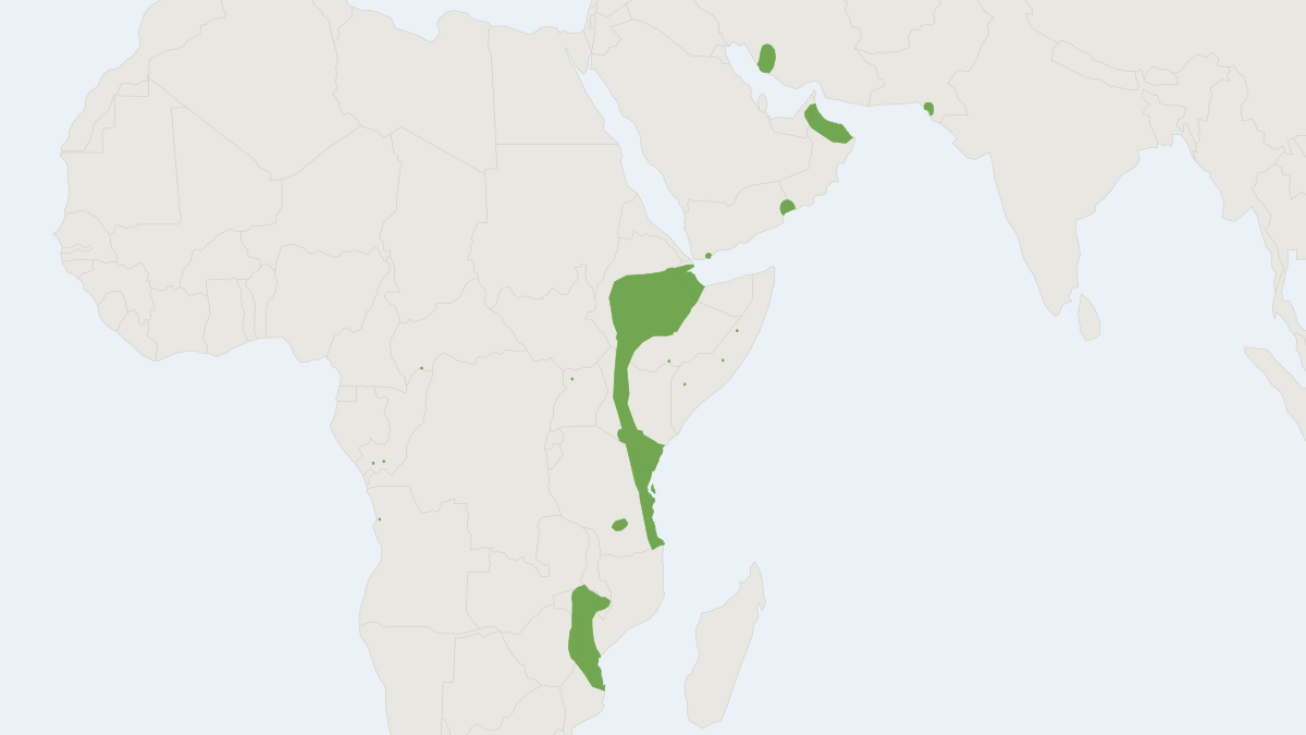 Range map of the Persian Trident Bat (Triaenops persicus)