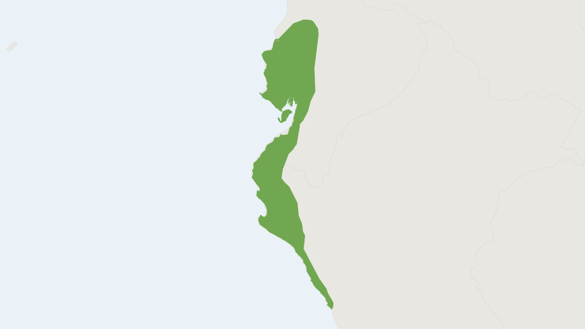 Range map of the Peruvian Cotton Rat (Sigmodon peruanus)