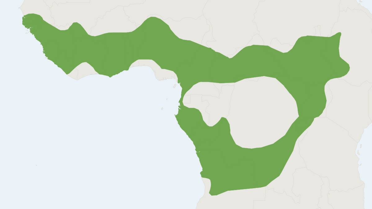 Range map of the Peter's Dwarf Epauletted Fruit Bat (Epomophorus pusillus)
