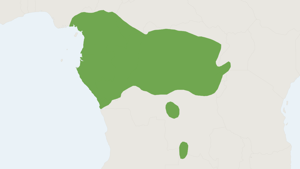 Range map of the Peters' Hybomys (Hybomys univittatus)