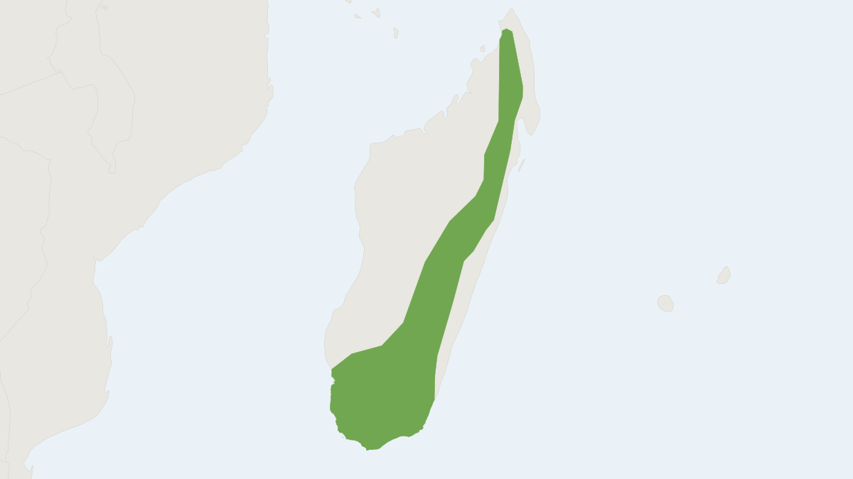 Range map of the Peters' Wrinkle-lipped Bat (Mormopterus jugularis)