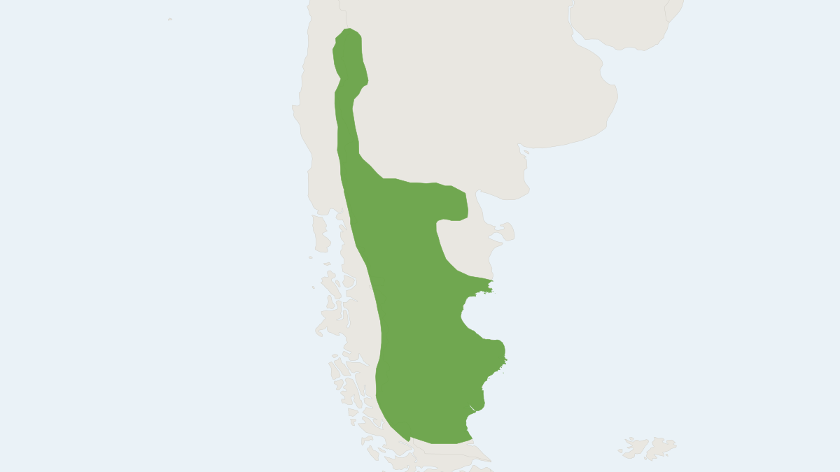 Range map of the Peterson's Chincilla Mouse (Euneomys petersoni)