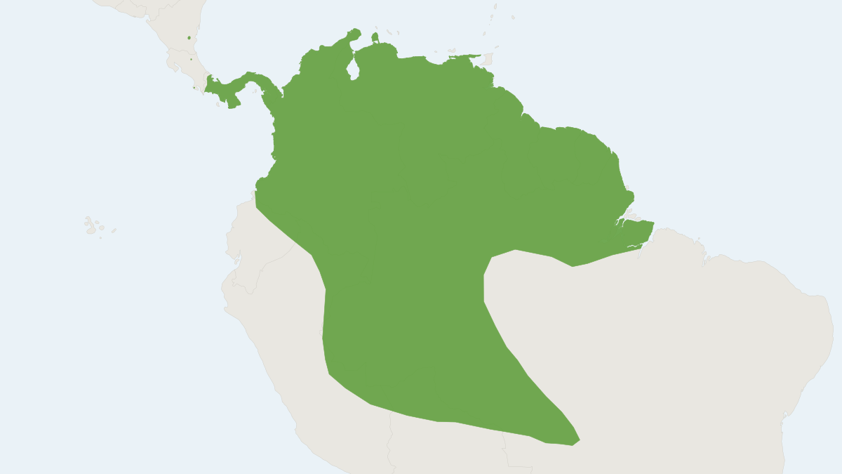 Range map of the Peters's Disk-winged Bat (Thyroptera discifera)