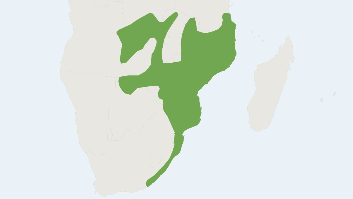 Range map of the Peters's Epauletted Fruit Bat (Epomophorus crypturus)