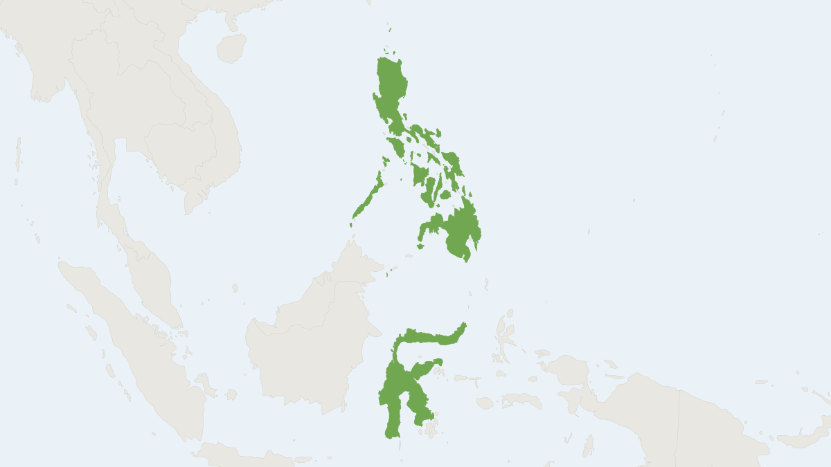 Range map of the Peters’s Fruit Bat (Cynopterus luzoniensis)