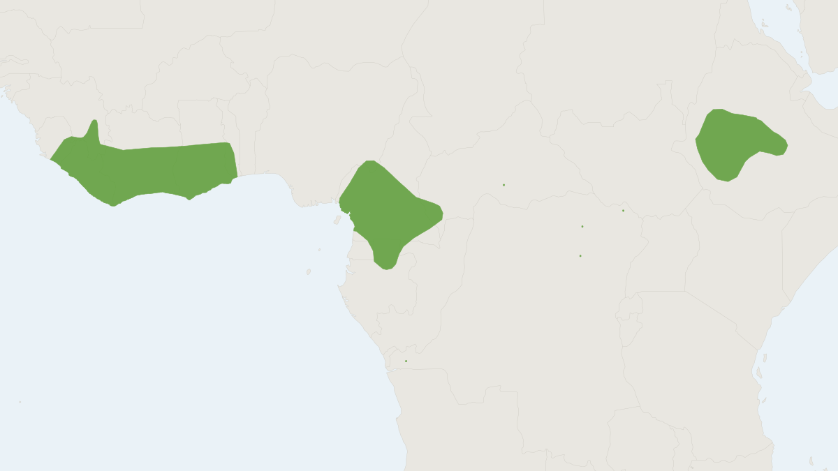 Range map of the Peters's Mouse (Mus setulosus)