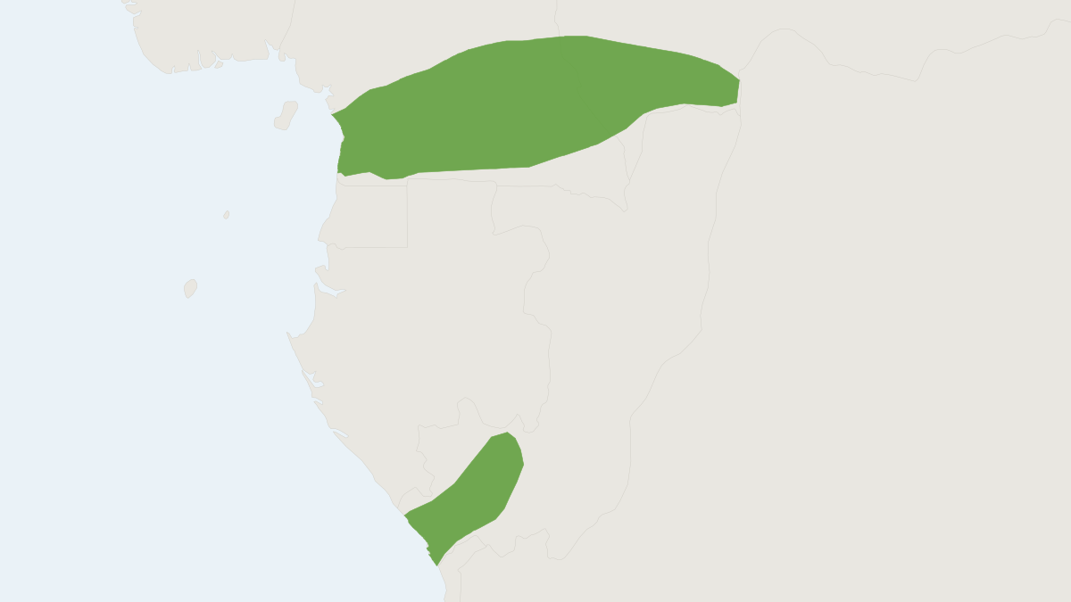 Range map of the Petter's Praomys (Praomys petteri)