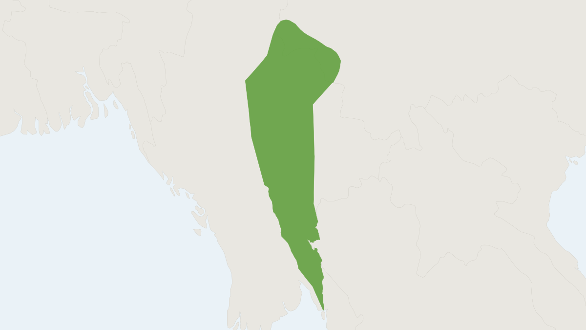 Range map of the Phayre's Squirrel (Callosciurus phayrei) covering China, India and Myanmar