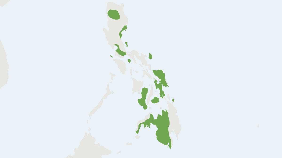 Range map of the Philippine Dawn Bat (Eonycteris robusta)