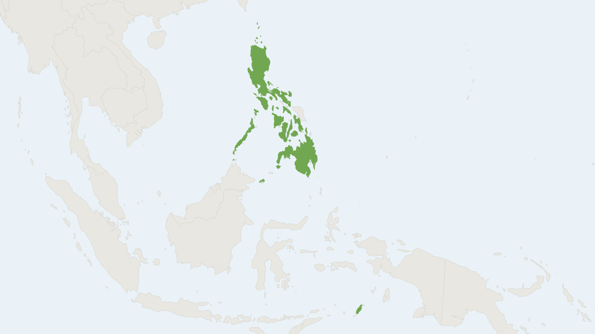 Range map of the Philippine Long-fingered Bat (Miniopterus paululus)
