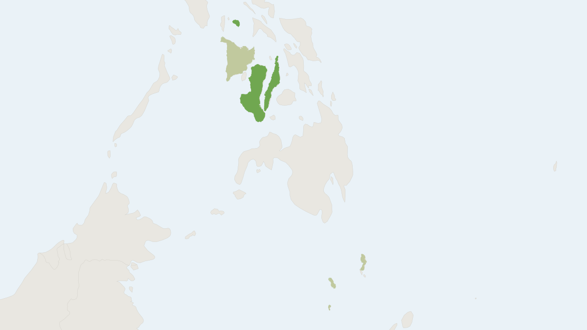 Range map of the Philippine Tube-nosed Fruit Bat (Nyctimene rabori)