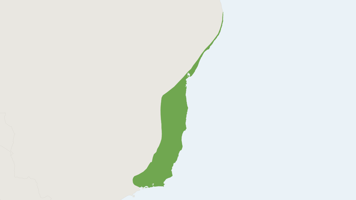 Range map of the Phyllomys pattoni (Phyllomys pattoni)