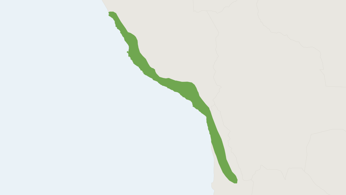 Range map of the Phyllotis limatus (Phyllotis limatus)