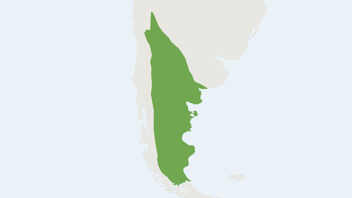 Range map of the Pichi (Zaedyus pichiy)
