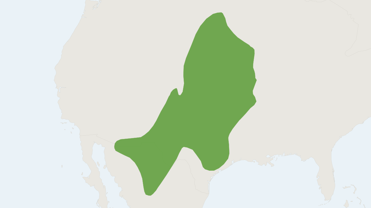 Range map of the Plains Harvest Mouse (Reithrodontomys montanus)