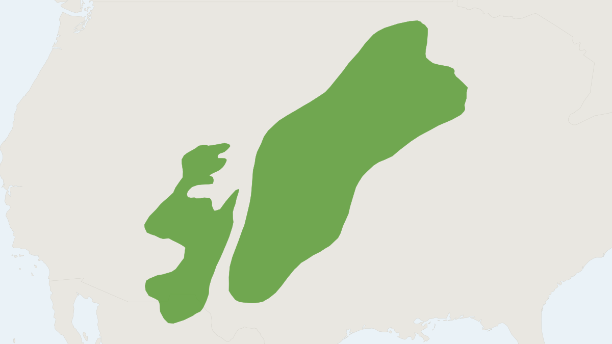Range map of the Plains Pocket Mouse (Perognathus flavescens)