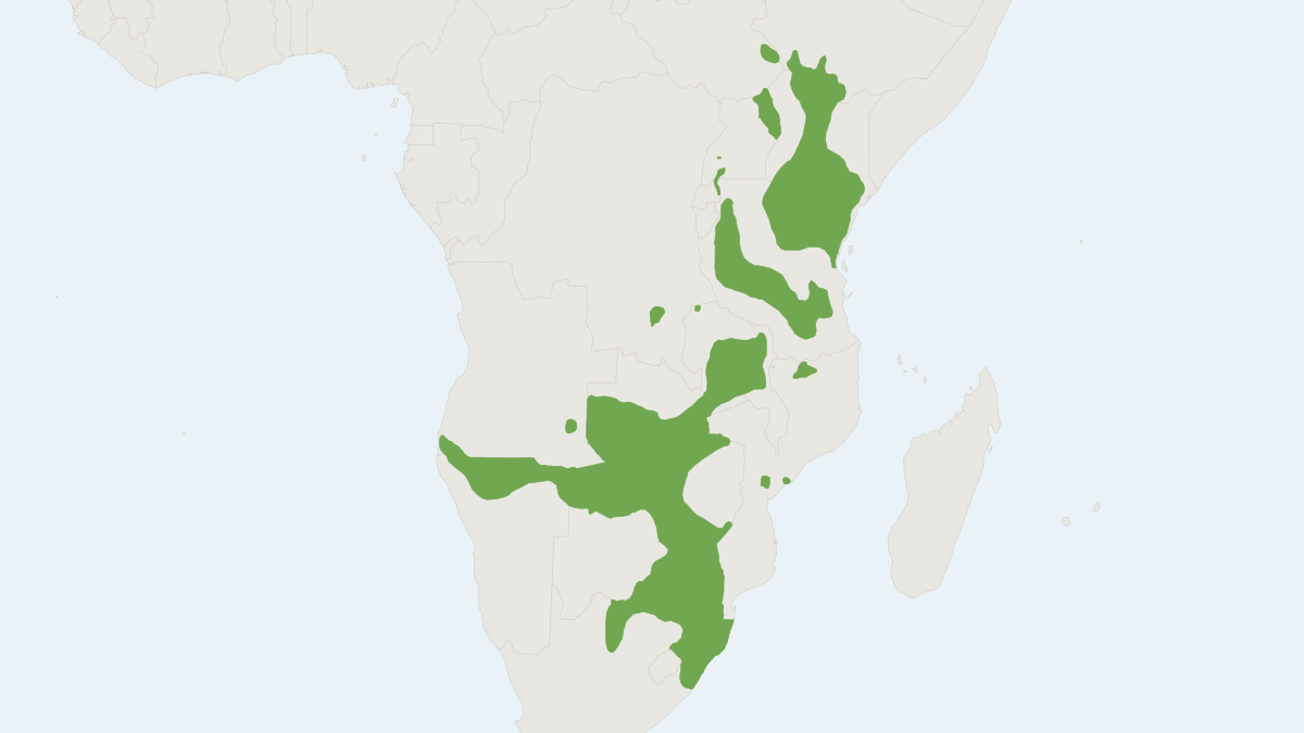Range map of the Plains Zebra (Equus quagga) covering Botswana, Ethiopia and Kenya