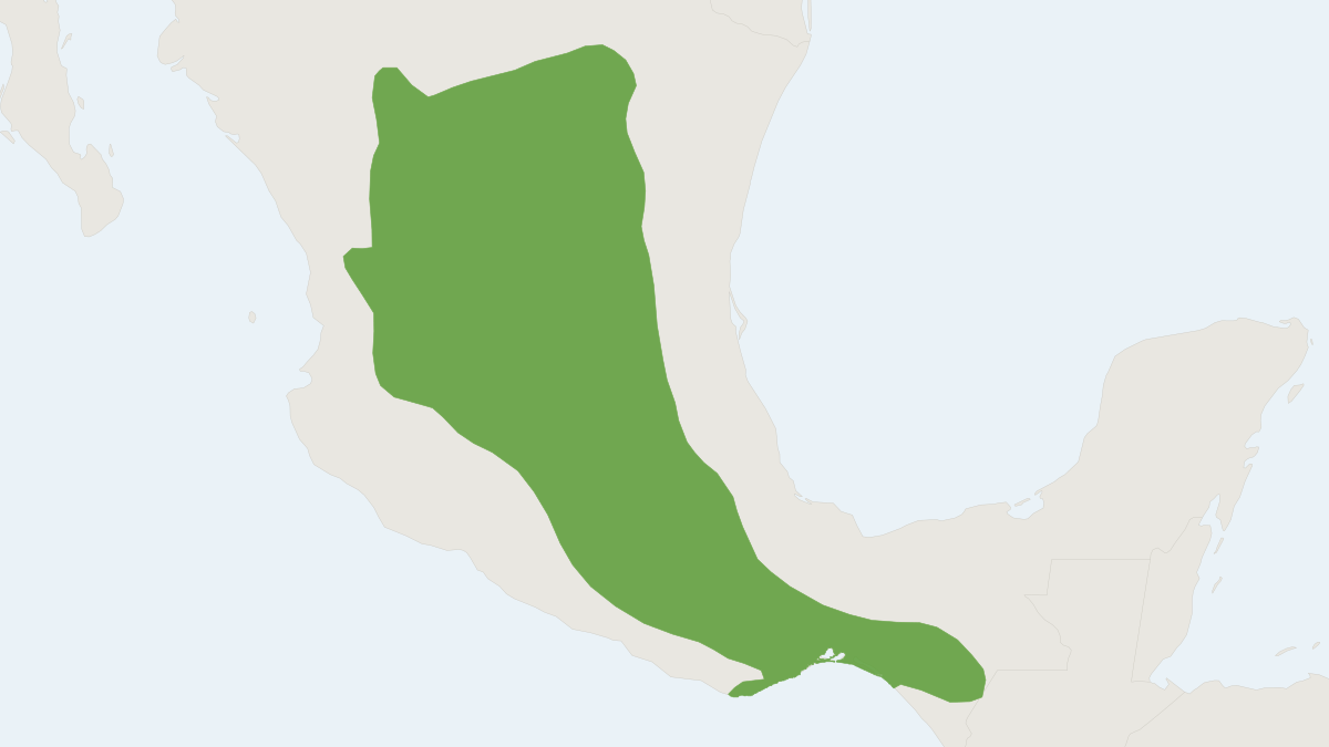 Range map of the Plateau Deer Mouse (Peromyscus melanophrys)