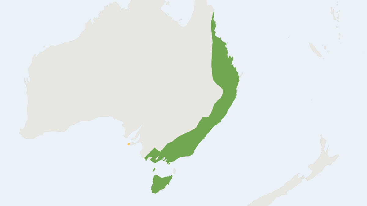 Range map of the Platypus (Ornithorhynchus anatinus) covering Australia and United Kingdom