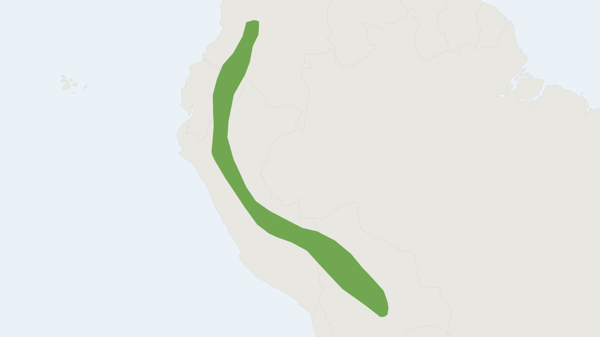 Range map of the Platyrrhinus albericoi (Platyrrhinus albericoi)