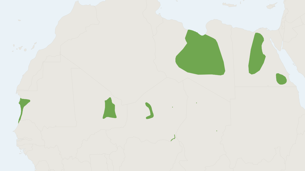 Range map of the Pleasant Gerbil (Gerbillus amoenus)