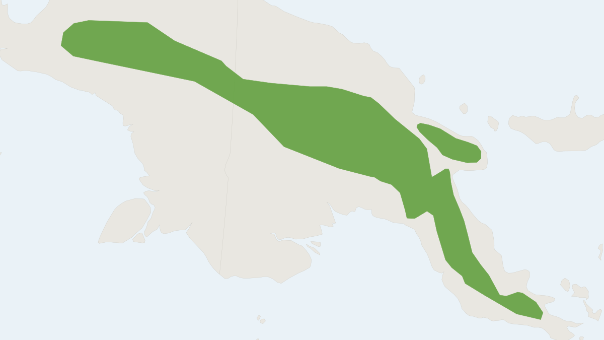 Range map of the Plush-coated Ringtail (Pseudochirops corinnae)