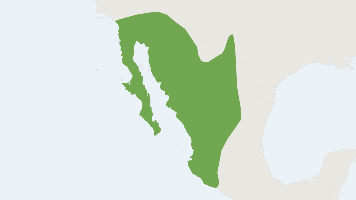 Range map of the Pocketed Free-tailed Bat (Nyctinomops femorosaccus)