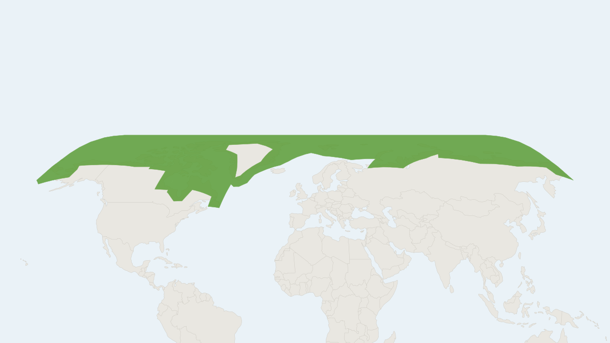 Range map of the Polar Bear (Ursus maritimus) covering Canada, Greenland and Norway