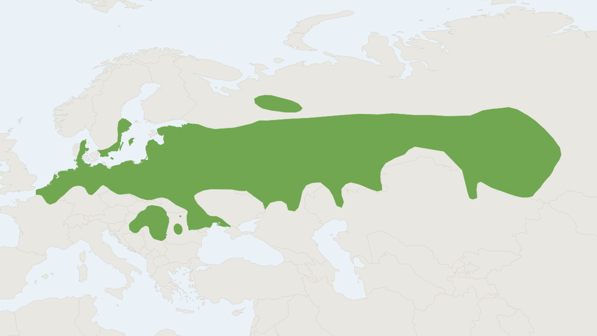 Range map of the Pond Bat (Myotis dasycneme)