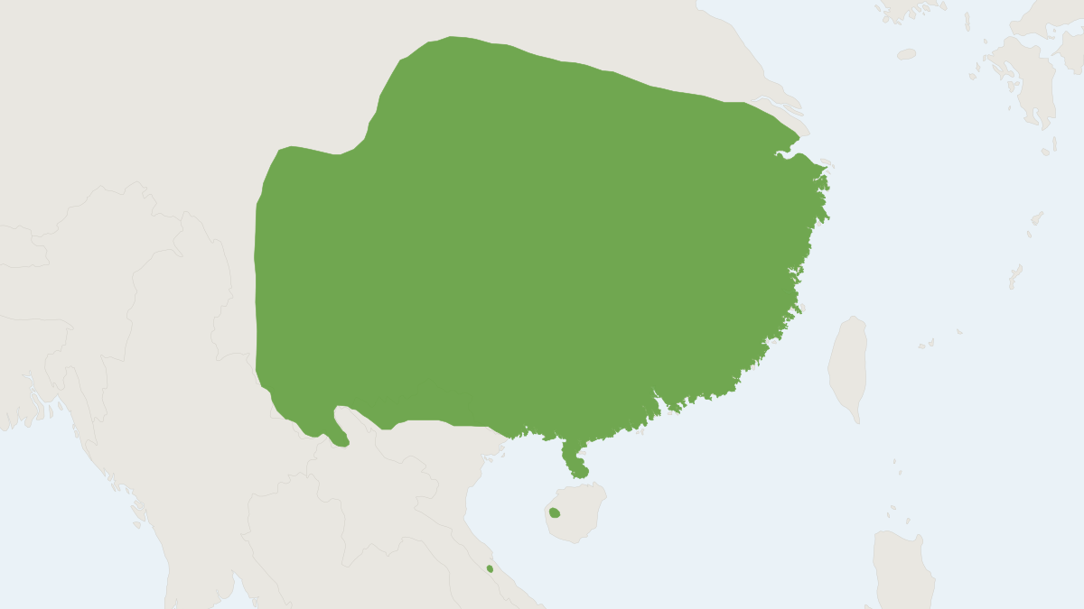 Range map of the Pratt's Leaf-nosed Bat (Hipposideros pratti)