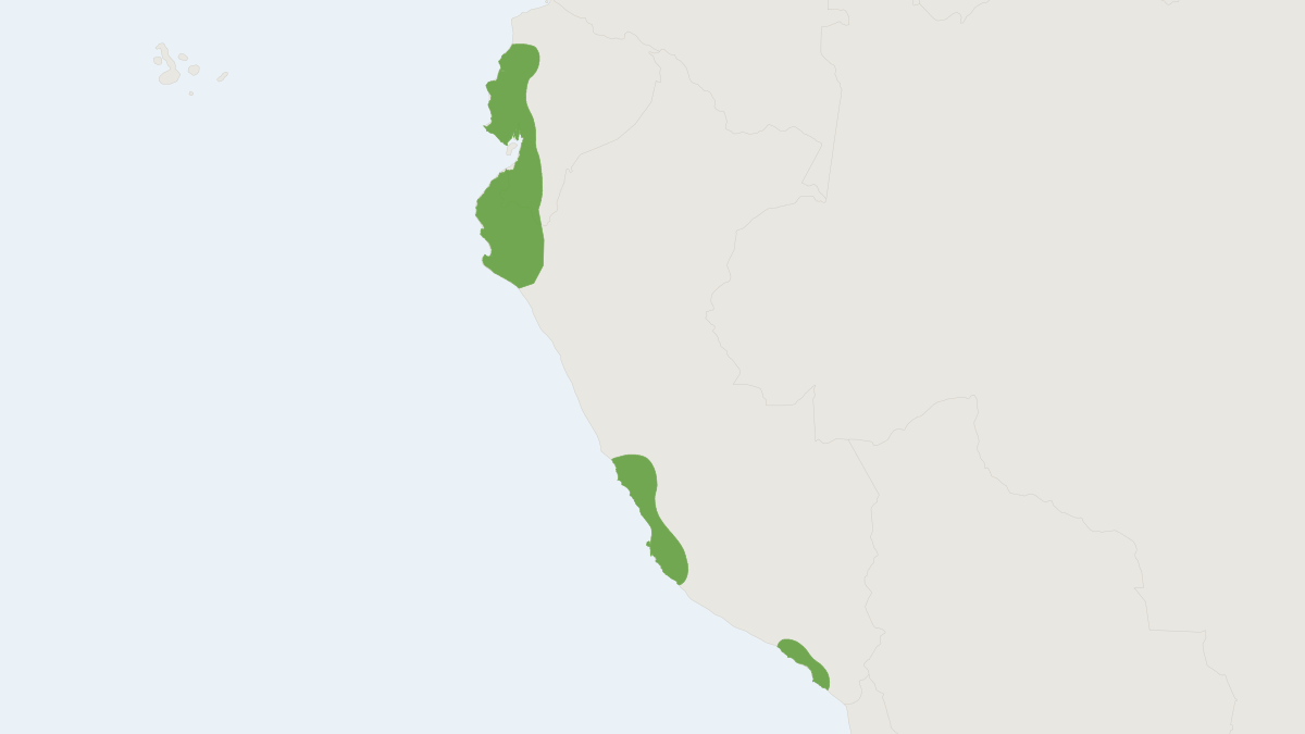 Range map of the Promops davisoni (Promops davisoni)