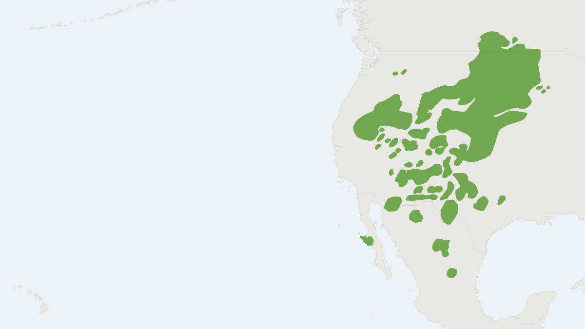Range map of the Pronghorn (Antilocapra americana) covering Canada, Mexico and United States