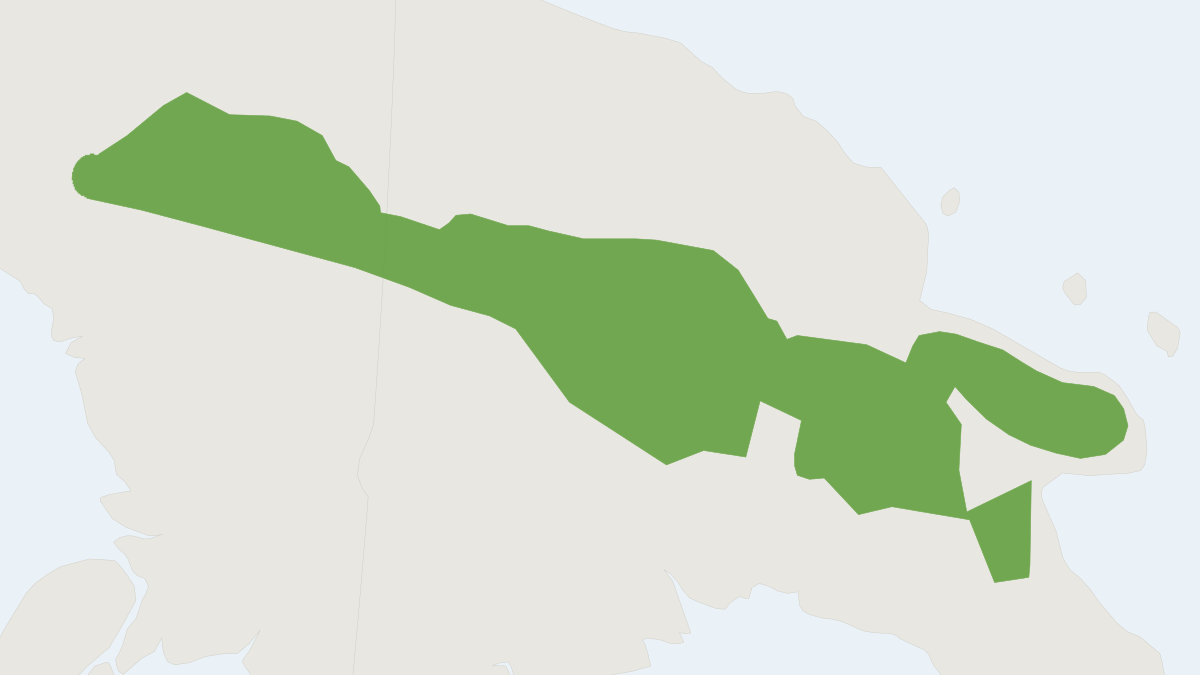 Range map of the Pseudohydromys ellermani (Pseudohydromys ellermani)