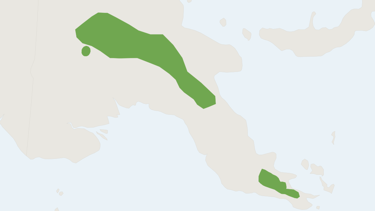 Range map of the Pseudohydromys murinus (Pseudohydromys murinus)