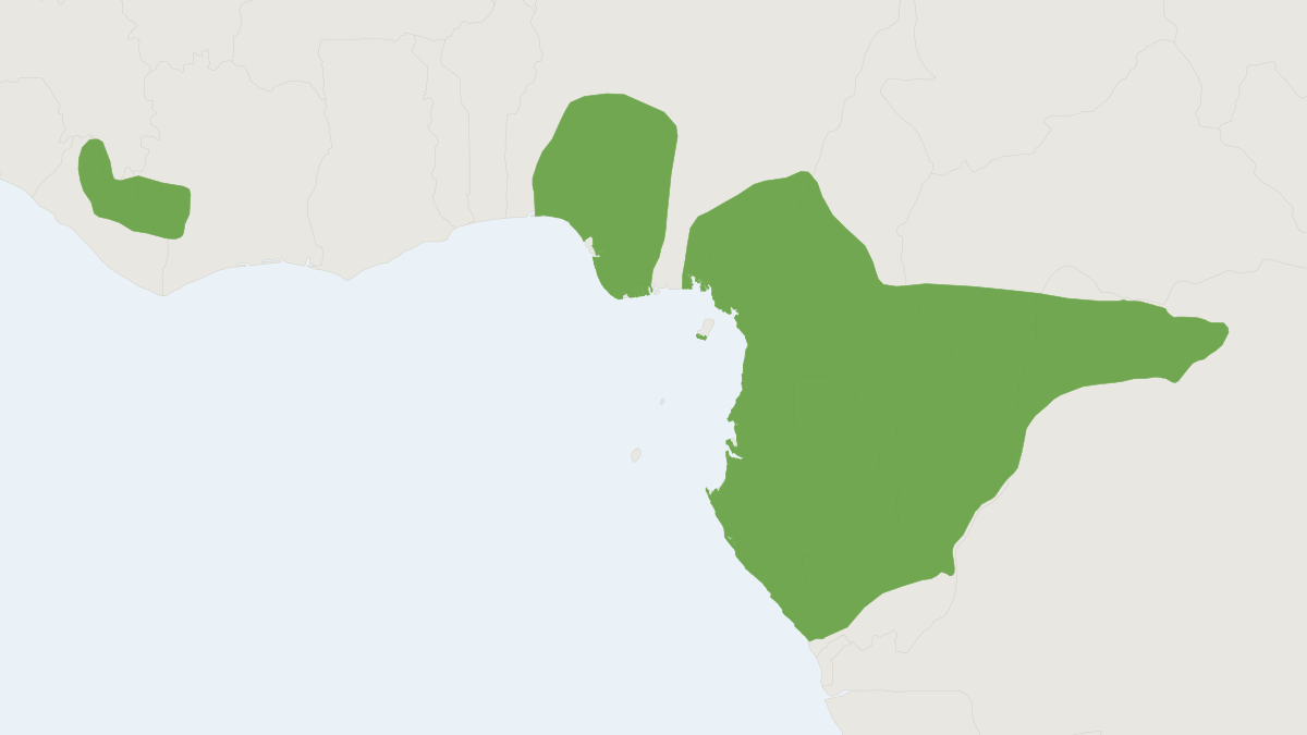 Range map of the Putty-nosed Monkey (Cercopithecus nictitans) covering Cameroon, Central African Republic and Democratic Repu