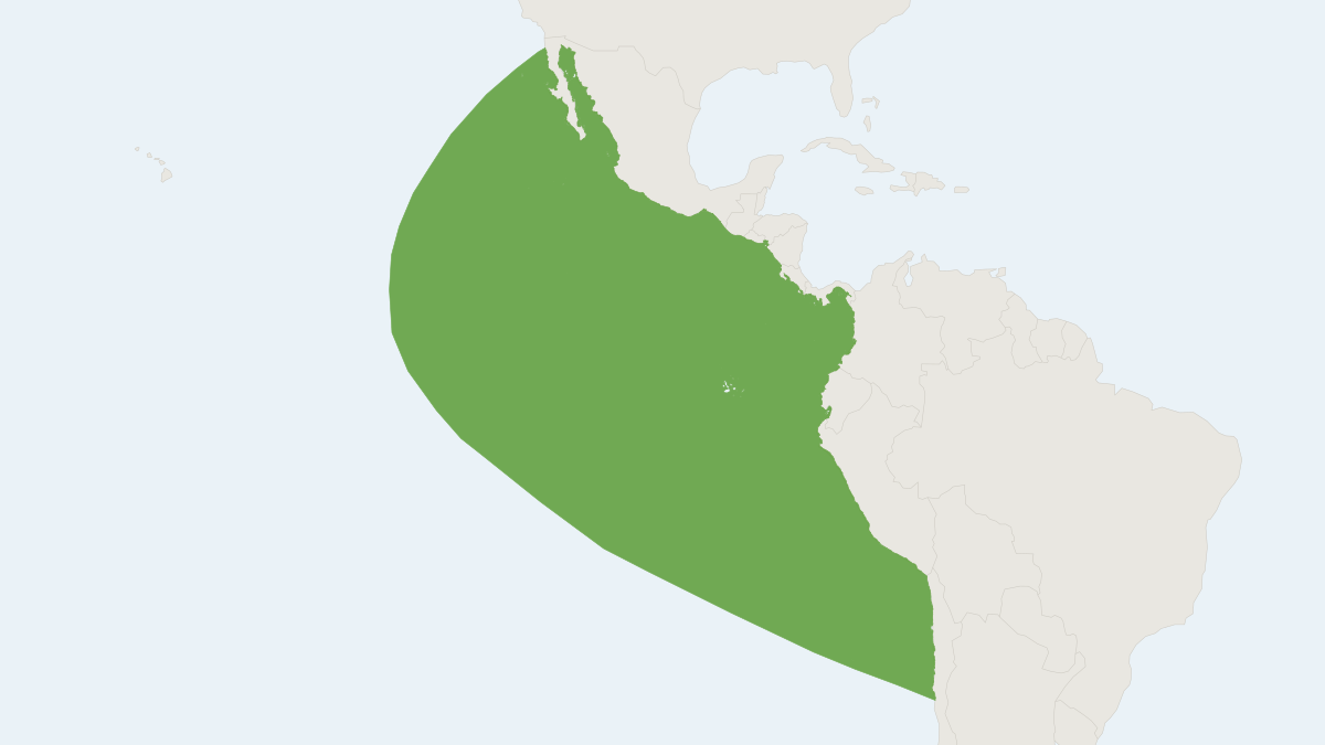 Range map of the Pygmy Beaked Whale (Mesoplodon peruvianus)