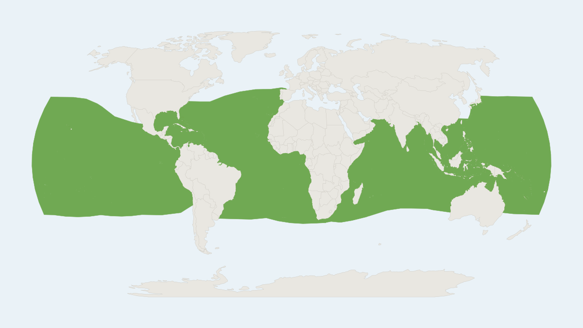 Range map of the Pygmy Killer Whale (Feresa attenuata)