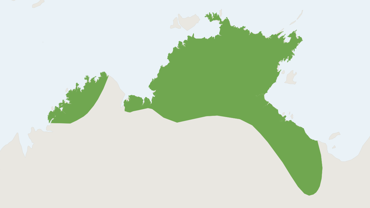 Range map of the Pygmy Long-eared Bat (Nyctophilus walkeri)
