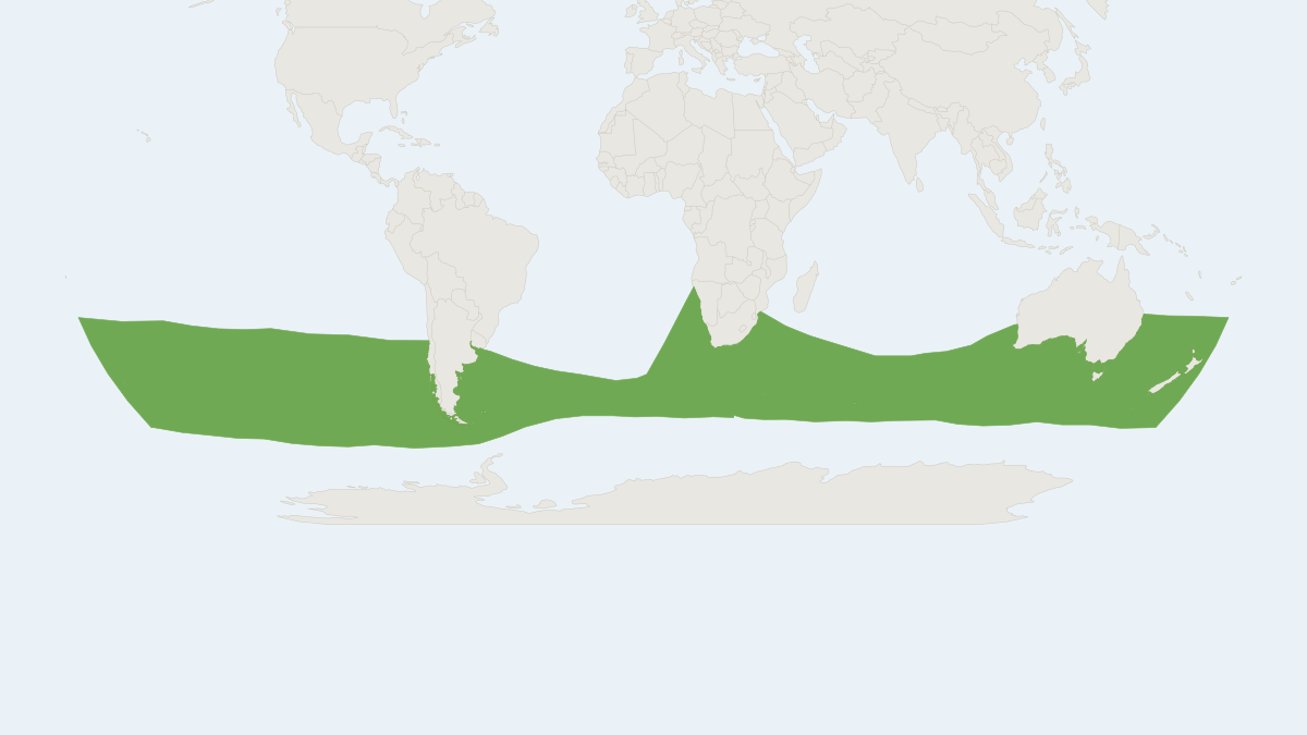Range map of the Pygmy Right Whale (Caperea marginata) covering Argentina, Australia and Chile