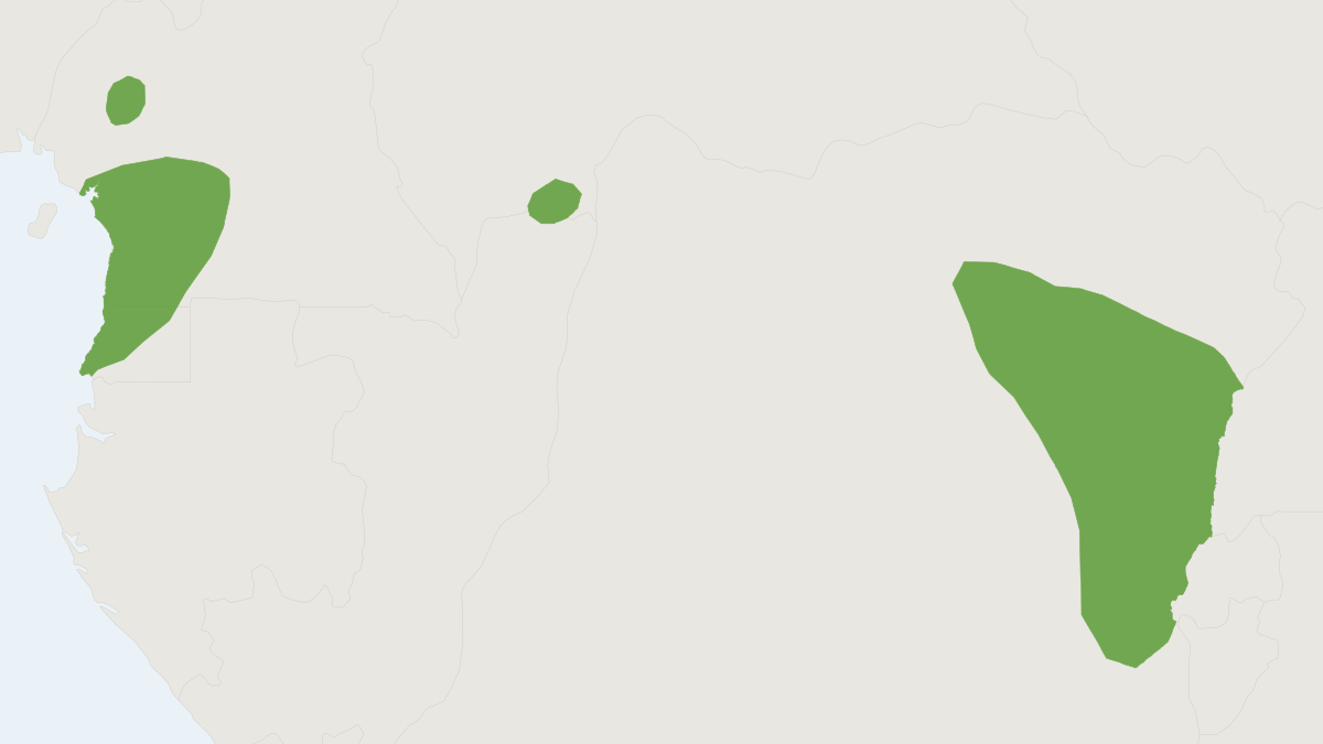 Range map of the Pygmy Scaly-tailed Flying Squirrel (Idiurus zenkeri)