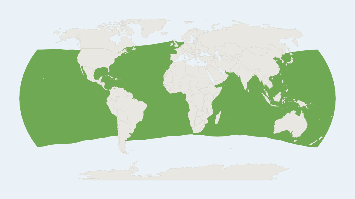Range map of the Pygmy Sperm Whale (Kogia breviceps)