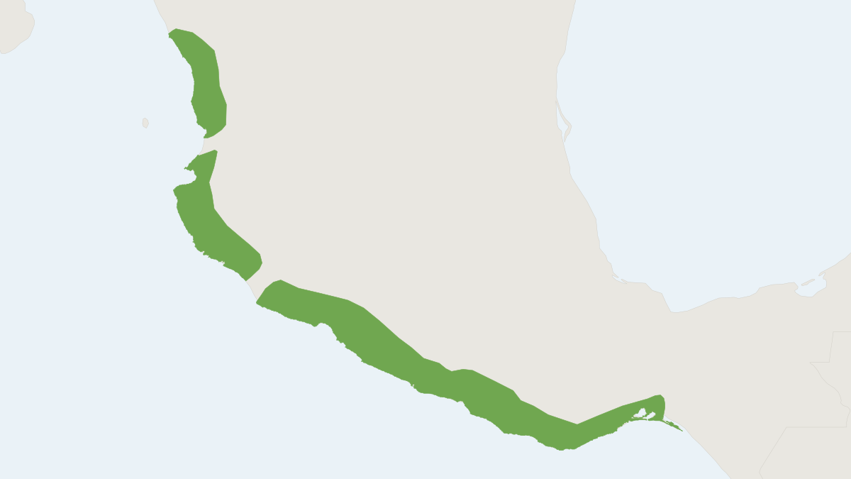 Range map of the Pygmy Spotted Skunk (Spilogale pygmaea)