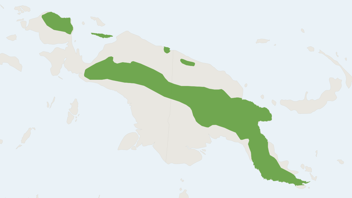 Range map of the Raffray's Bandicoot (Peroryctes raffrayana)