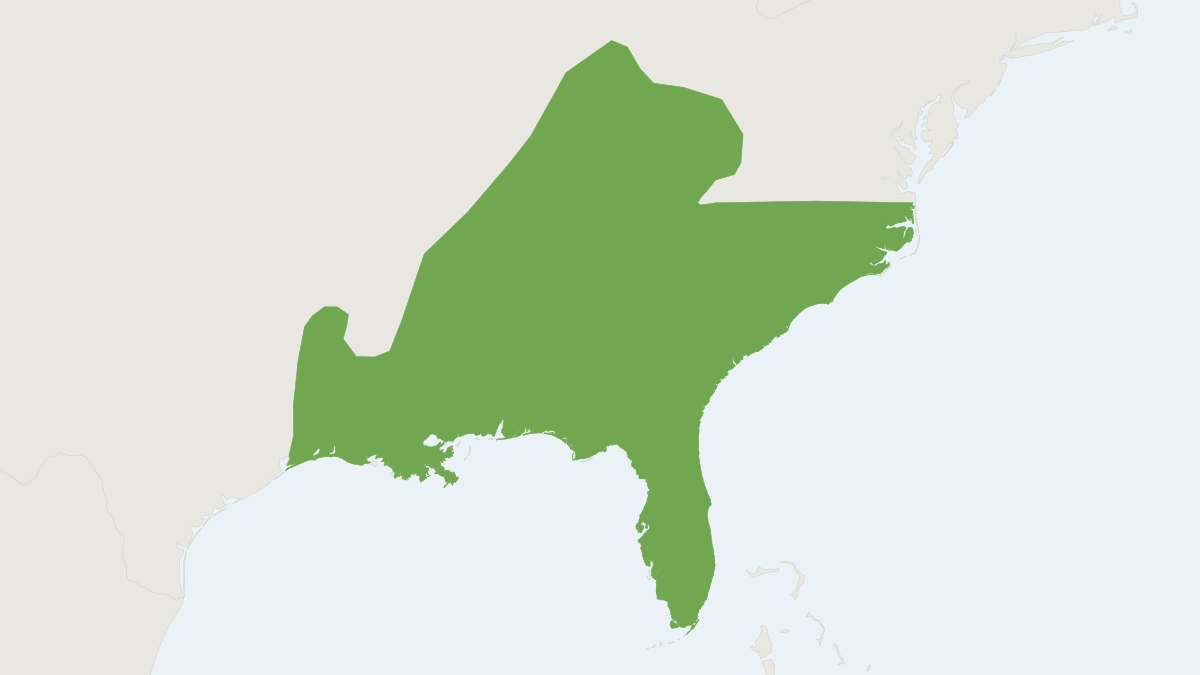 Range map of the Rafinesque's Big-eared Bat (Corynorhinus rafinesquii)